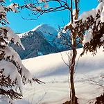 Appartements Living Saalbach by HolidayFlats24