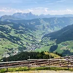 Appartements Living Saalbach by HolidayFlats24