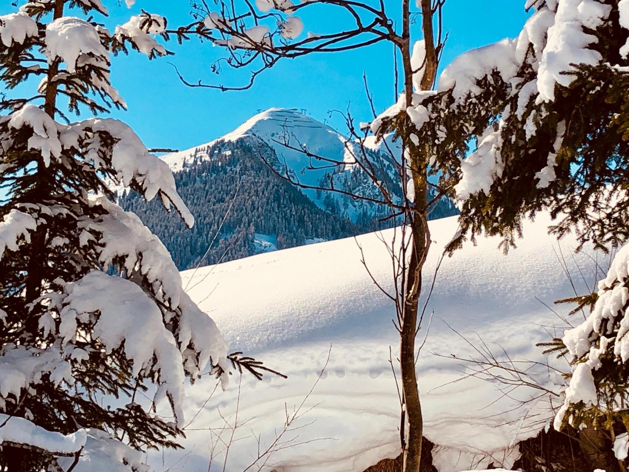 Appartements Living Saalbach *